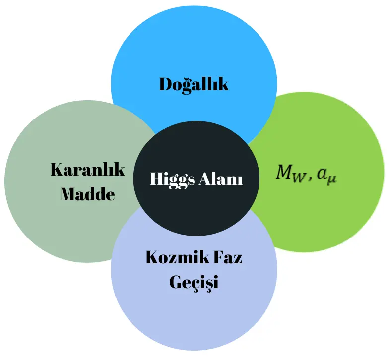 Higgs alanının; doğallığın, müon g - 2 veya W bozonlarının kütlelerinden gelen (Büyük Hadron Çarpıştırıcısı'nın Higgs bozonu testlerinde kullandığı bozonlar) deneysel anomalilerin, kozmik faz geçişinin ve karanlık maddenin gösterdiği Standart Model'in ardındaki fiziğe bir portal olarak hizmet edebileceğini gösteren bir daire haritası taslağı.