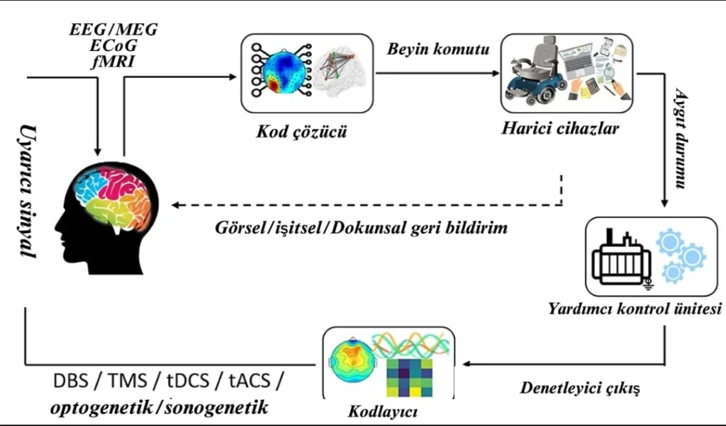 Beyin-Bilgisayar Arayüzleri ile Yapay Zeka Entegrasyonu Şeması 