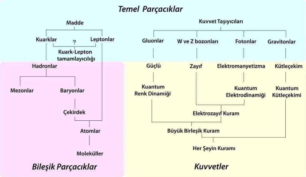 Temel parçacıklar, oluşturdukları unsurlar ve etkileşimler